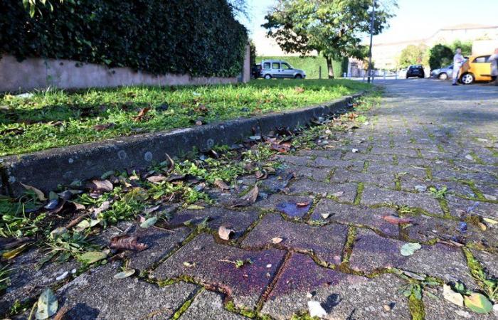 INFORMACIÓN LA DEPECHE. Asesinato de Teddy en Blagnac: un segundo menor detenido, los sospechosos tienen 15 y 16 años