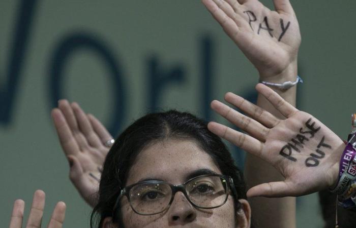 COP 29: 300 mil millones para apoyar el cambio climático, un polémico acuerdo alcanzado al final de la noche