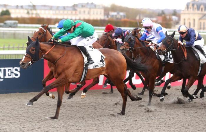 Ashiyma gana el Premio Ceres en Chantilly