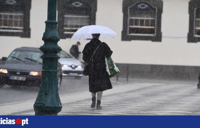 Un día que invita a quedarse en casa y quizás sólo salir por la tarde — DNOTICIAS.PT