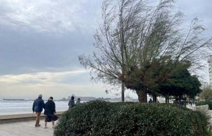 Se esperan fuertes ráfagas de viento durante la noche, Vendée puesta en alerta amarilla