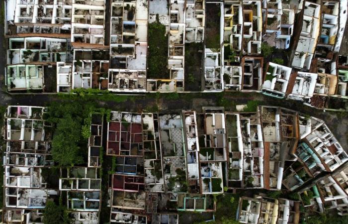 Brasil | Autobús cae a un barranco y mata a 17 personas