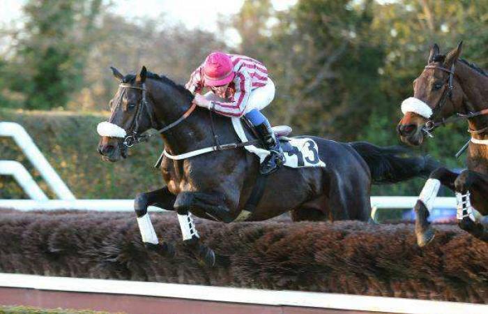 Predicción gratuita para la CARRERA DE OBSTÁCULOS NACIONAL ANGLOÁRABE