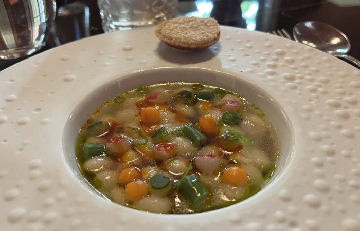 NÎMES Un almuerzo en Le Rouge: una deliciosa aventura