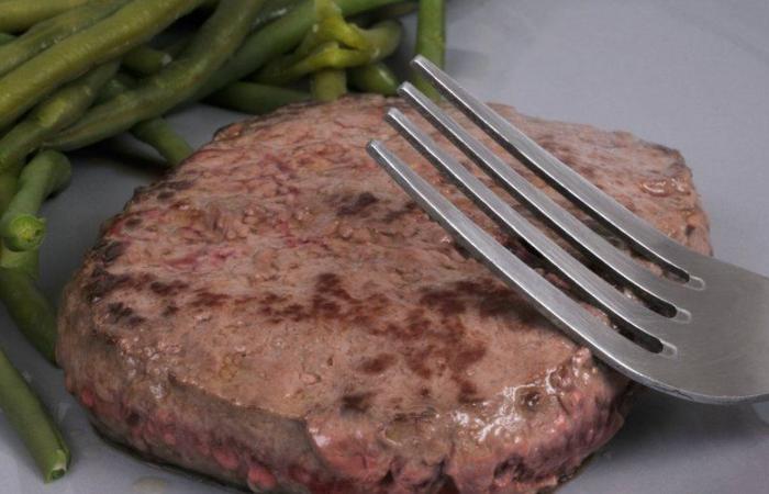 “Algo cruje en mi boca”, sangre: encuentra un trozo de vidrio en su carne picada Picard congelada y se lastima