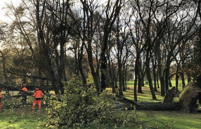 Tormenta Bert. Nueva vigilancia amarilla para Loira Atlántico: ¿qué esperar?