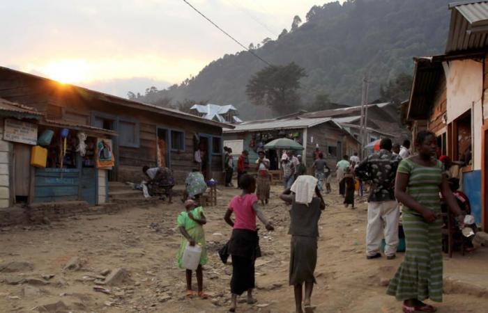 Al menos diez muertos en un deslizamiento de tierra en Kivu del Sur