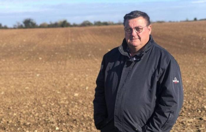 En Vendée, un proyecto de sombra fotovoltaica para producir electricidad y cultivar tierras