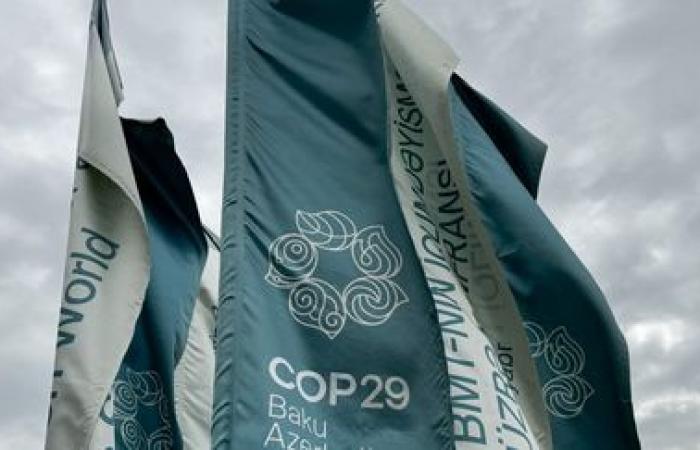 “Esta COP29 fue un auténtico desperdicio”, denuncia Red de Acción Climática