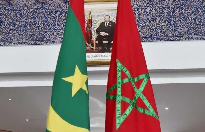 Creación de una red de centros de estudio e investigación Marruecos-Mauritania