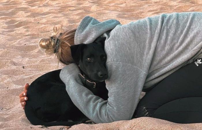 El perro que saltó de un avión en Charles de Gaulle aún no ha sido encontrado pese a intensas búsquedas