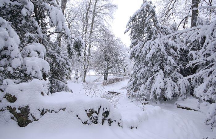 ¿Es posible que caigan más nevadas de aquí a Navidad? 25/11/2024