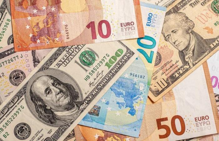 El euro cae y el dólar se mantiene estable en el mercado negro de divisas