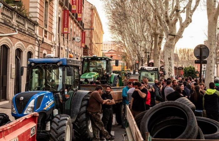 Agricultores enojados: “Preparen sus contenedores llenos de plantas”, la movilización se reanuda este martes 26 de noviembre en los Pirineos Orientales