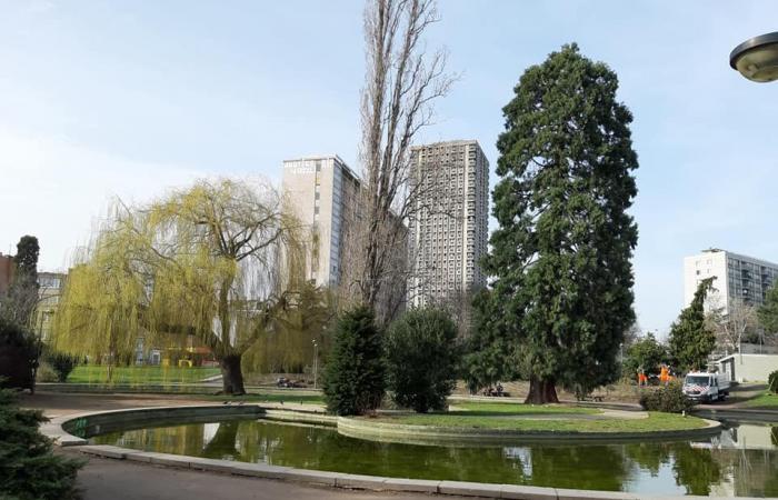 Un nuevo edificio de #oficinas y 300 nuevos puestos de trabajo en Droixhe