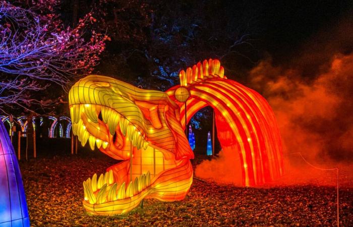 La Odisea Luminosa en Parc Floral 2024 nos sumerge este año en cuentos y dinosaurios