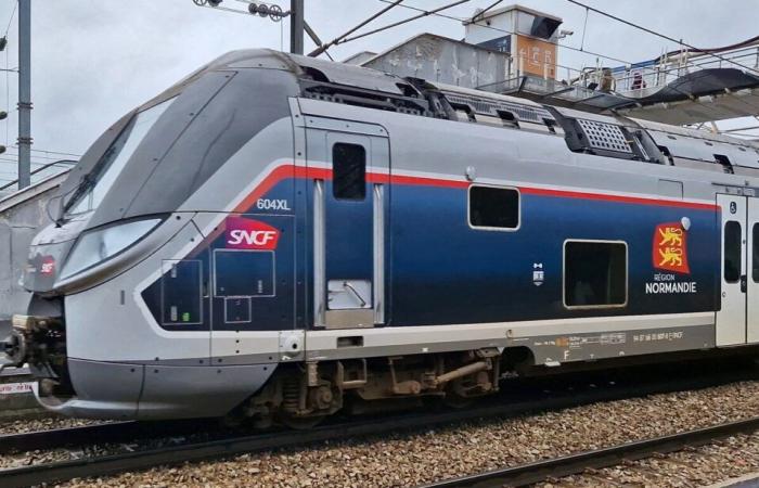 SNCF. Retrasado por el mal tiempo y los jabalíes, el trayecto Caen-París llega con 7 horas de retraso