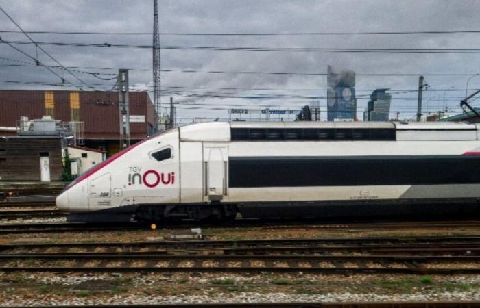 SNCF: el tráfico ferroviario se verá interrumpido el lunes debido a los fuertes vientos: Noticias