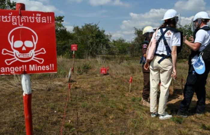 Venta de armas a Ucrania: la ONU denuncia una “nueva amenaza” de minas antipersonal: Noticias