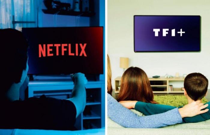 TF1 y Netflix unen fuerzas para coemitir una nueva ficción diaria