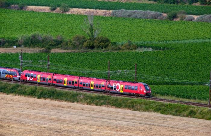 “El tráfico ferroviario se verá gravemente afectado”, un lunes complicado para los viajeros en el oeste de la región