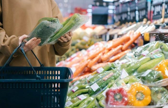 Llena de pesticidas, ya no compres esta verdura de invierno en el supermercado, aquí te explicamos cómo cultivarla fácil y rápidamente en casa