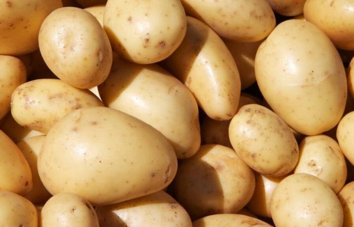 Patatas fritas congeladas vendidas en Quebec: el “cártel de la patata” acusado de fijar los precios