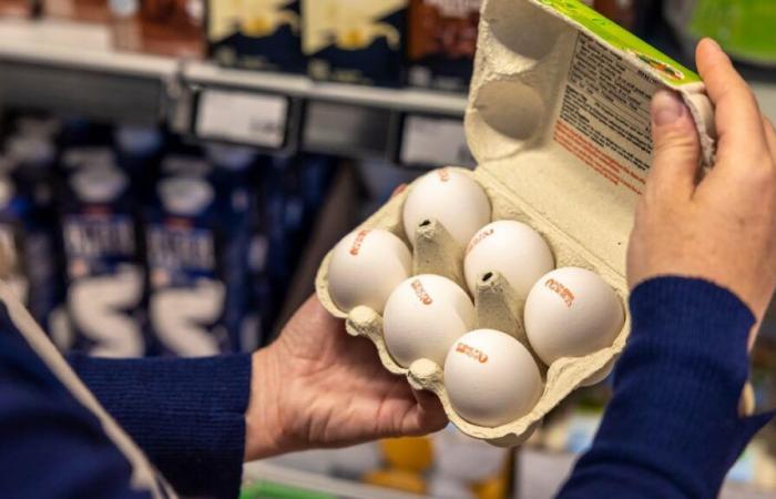 Los jóvenes y los francófonos son defensores del desperdicio de alimentos