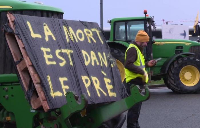 ¿Cómo apaciguar la ira de los agricultores? Lo debatimos en Francia 3 Franco Condado en Dimanche en politique