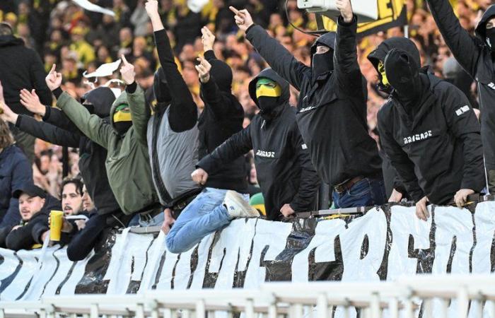 VIDEO. Ligue 1: Nantes-Le Havre interrumpido después de que se arrojaran pelotas de tenis… y papel higiénico