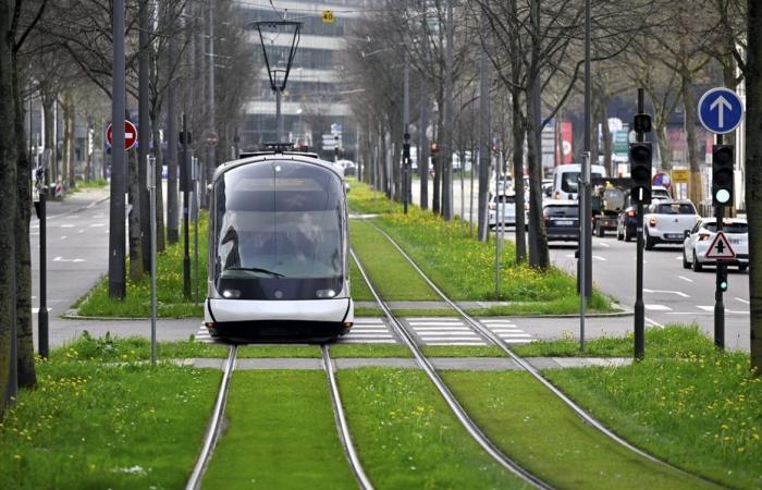 cuentas de clientes de la Compagnie des transports estrasburgueses víctimas de acceso fraudulento