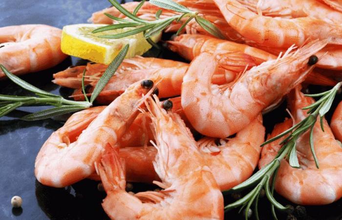 ¿Menos locura en la costa? Los precios de las gambas del Mar del Norte podrían alcanzar niveles récord