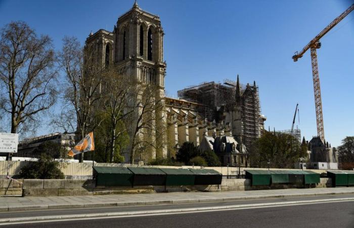 Amantes de Notre-Dame de París, los estadounidenses donaron millones de dólares para ayudar en su reconstrucción