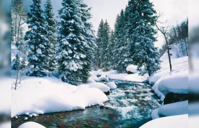 Advertencias de clima invernal: ESTOS 15 estados se preparan para la nieve, el desfile de Macy’s está amenazado