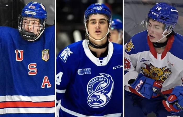 Draft de la NHL: una sorpresa número uno para este experto, un quebequense entre los 10 primeros