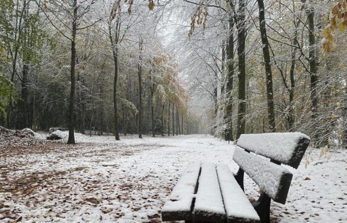 Tras la nieve y el viento, el parque de este castillo de Orne cierra toda la semana