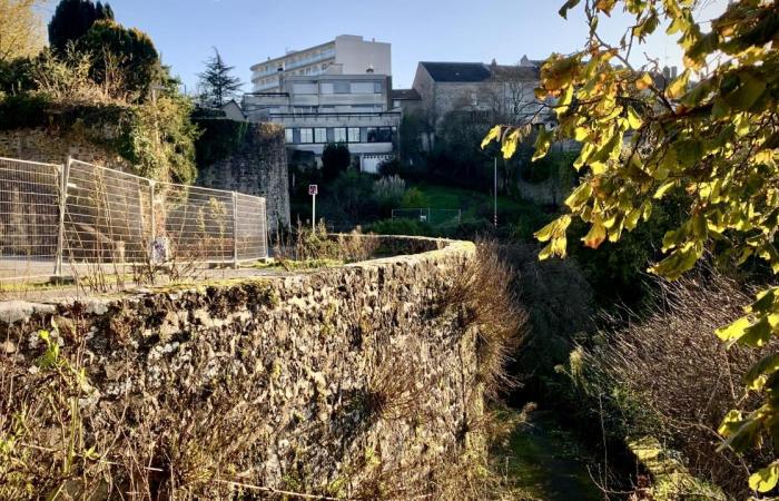 Las principales obras de Parthenay bajo el microscopio