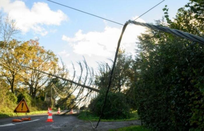 Fuerte viento: siete departamentos del centro-este siguen en alerta naranja el lunes: Noticias