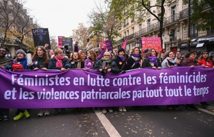 93 mujeres víctimas en Francia en 2023, según un informe actualizado