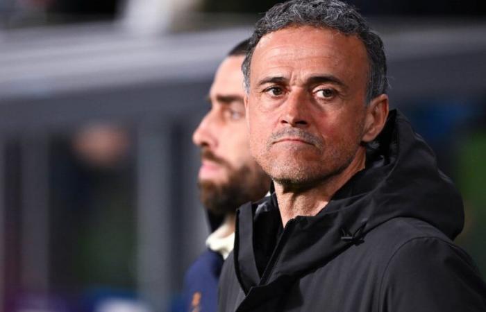 PSG: La revolución que prepara Luis Enrique