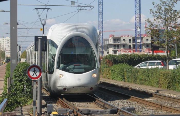 La red TCL gravemente perturbada por fuertes vientos.