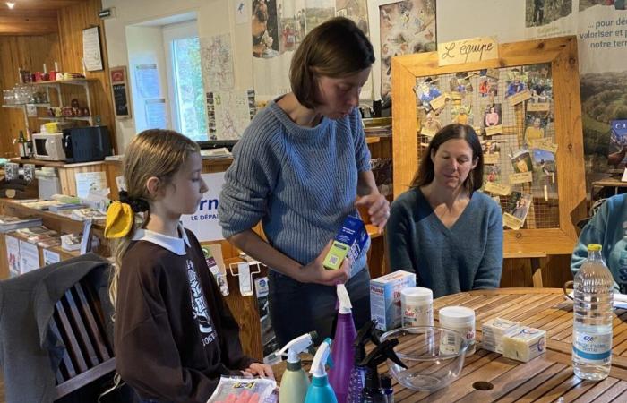 En Orne, productos de limpieza naturales para el hogar: “preservando nuestra salud”