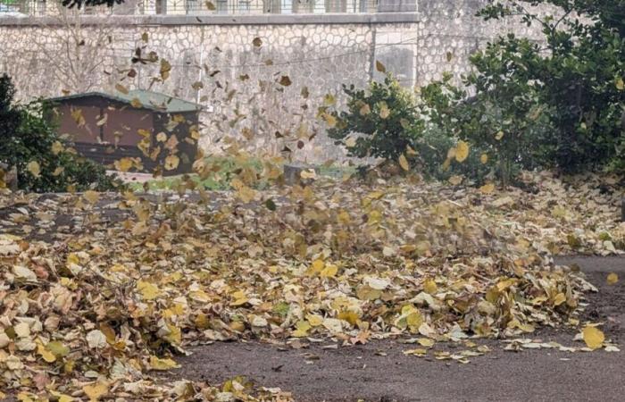 “Estamos mejor en casa”, rachas de viento de más de 100 km/h en Drôme y Ardèche