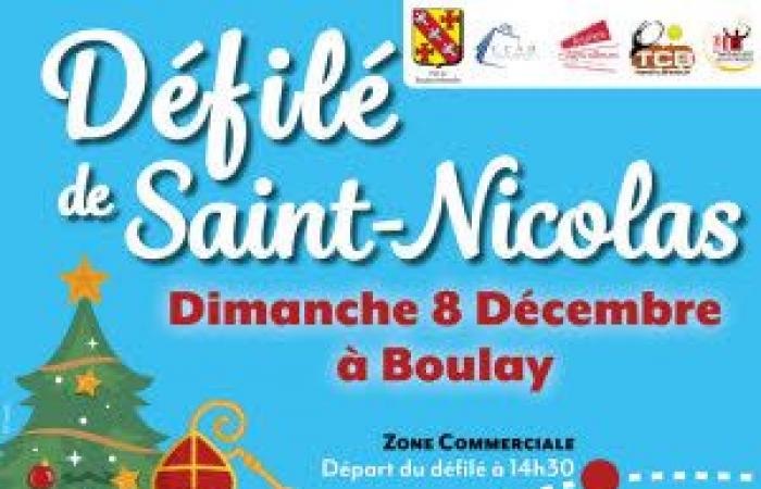 Carnaval, desfile en Boulay Moselle