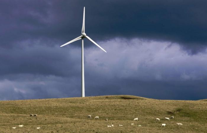 Con ráfagas de viento de hasta 120 km/h, estos nueve departamentos fueron arrasados ​​por la tormenta Bert