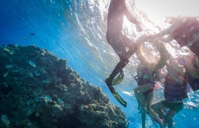 Barco turístico se hunde en el Mar Rojo; 17 personas siguen desaparecidas