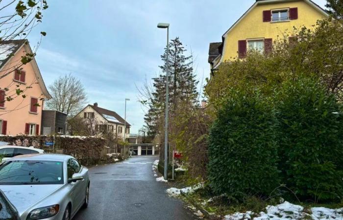 Schaffhausen: Nuevo ataque a niños en la calle