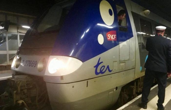 Eura. Una larga noche de penurias para los pasajeros del TER entre Normandía y París