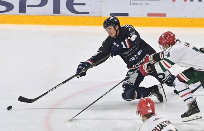 Hockey sobre hielo – Copa de Francia (8º). Con los duques de Angers, es la gira de Tavernier