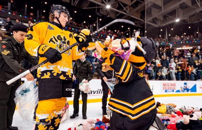 Tigres de Victoriaville | El regreso del PO Roy y un combate de perritos difícil de digerir